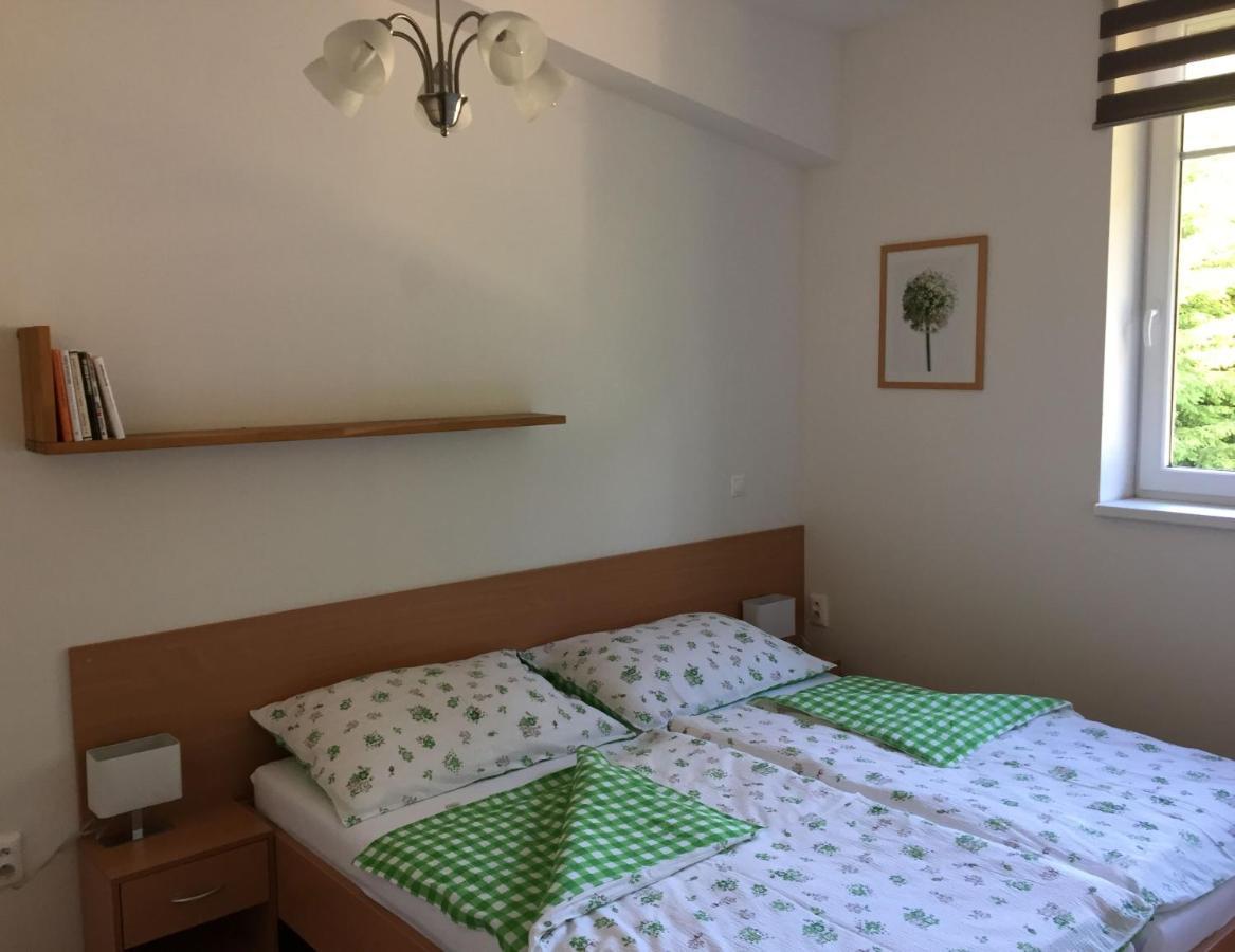 Apartman U Sjezdovky Velké Karlovice Eksteriør bilde